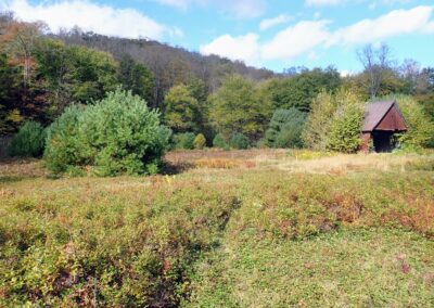 Pennsylvania countryside similar to the environment where the Whiskey Rebellion would have taken place